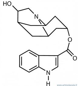 Hydrodolasetron