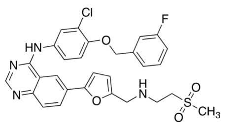 Lapatinib