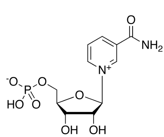 Beta-Nicotinamide Mononucleotide