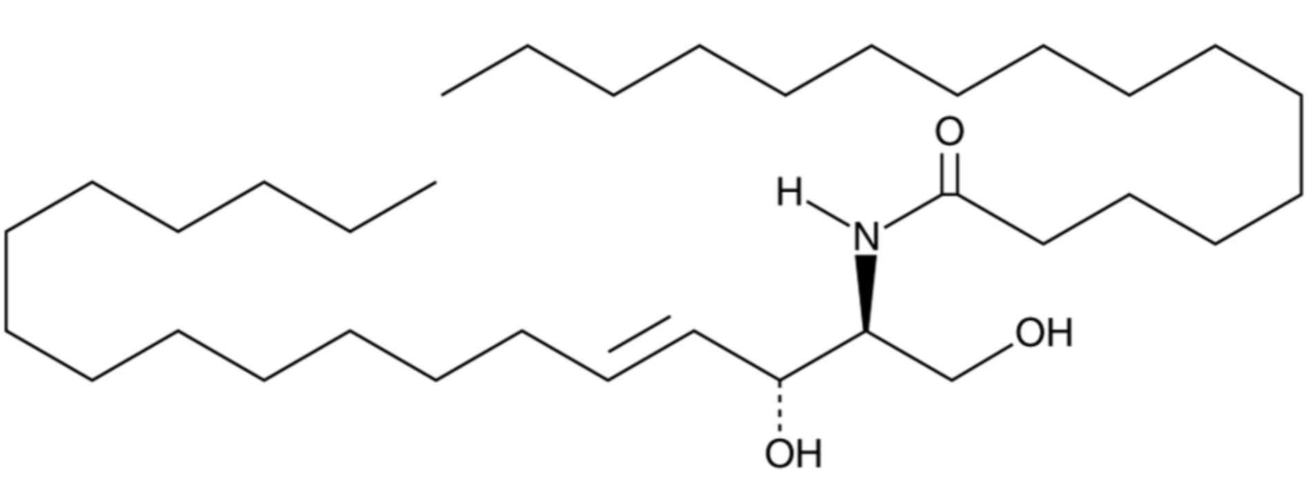 C16 Ceramide