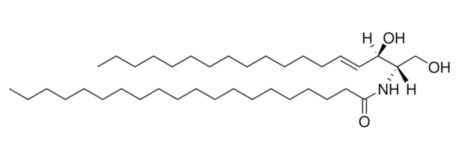 C20 Ceramide