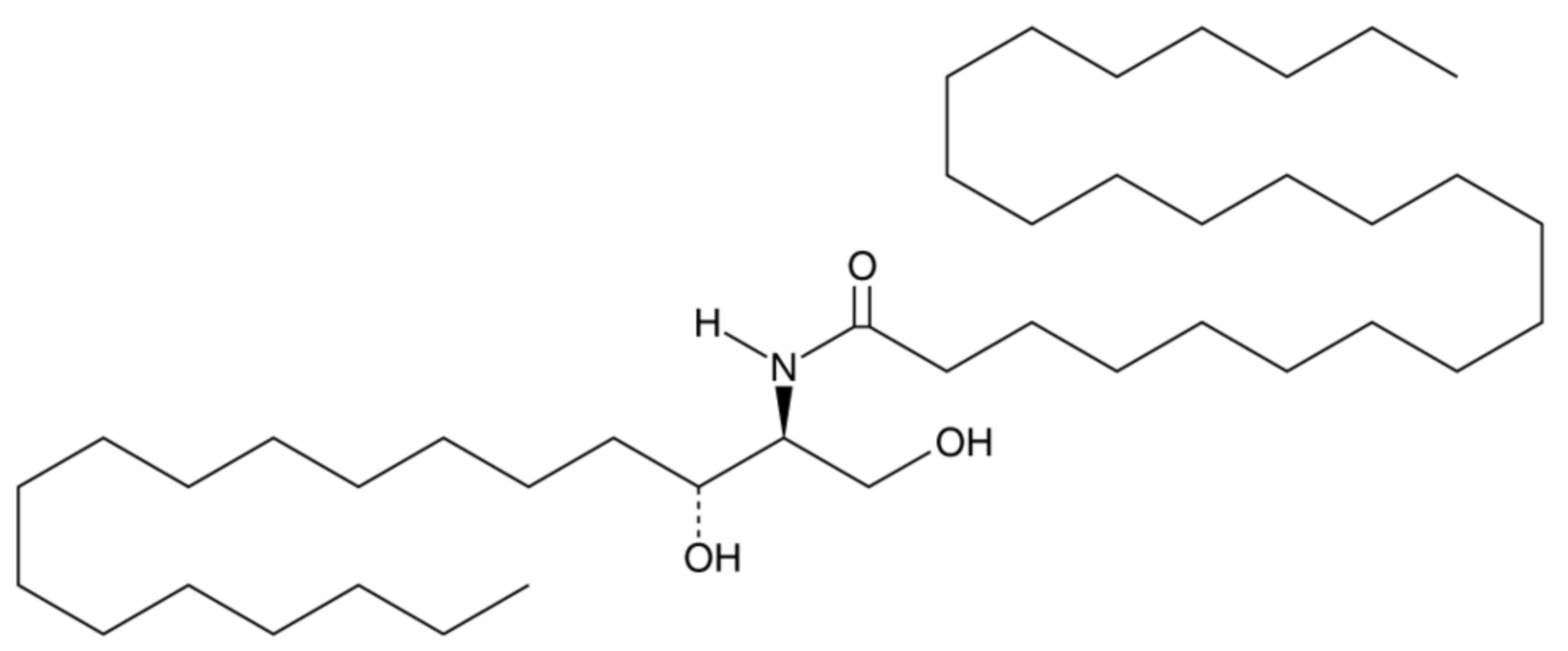 C24 Dihydroceramide