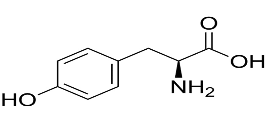 L-Tyrosine