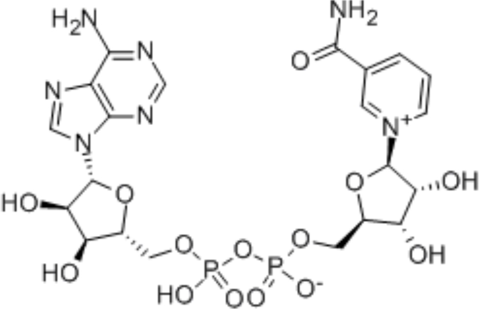 Beta-Nicotinamide adenine dinucleotide