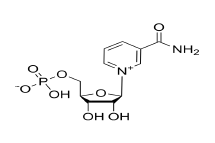 Beta-Nicotinamide Mononucleotide