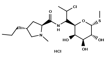 Clindamycin HCl