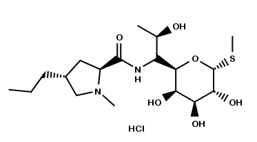 Lincomycin HCl