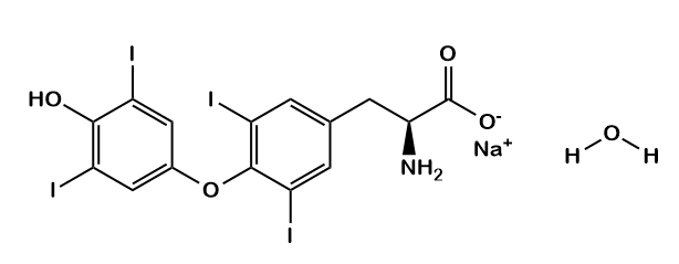 Levothyroxine Sodium Hydrate