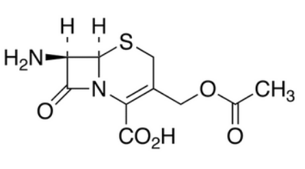 7-Aminocephalosporanic Acid