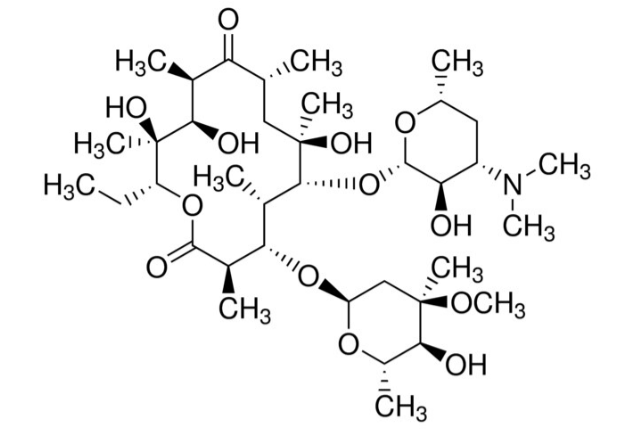 Erythromycin