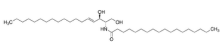 C18 Ceramide