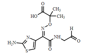 CEFTAZIDIME IMP G