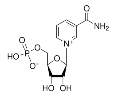 Beta-Nicotinamide Mononucleotide