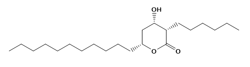 Orlistat THL-Delta Lactone