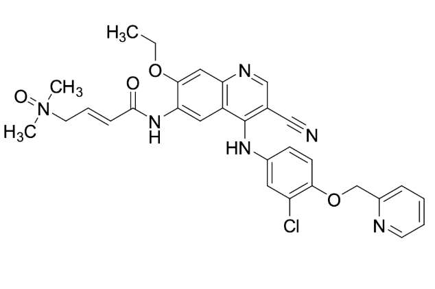 Neratinib Dimethylamine-N-oxide (M7)